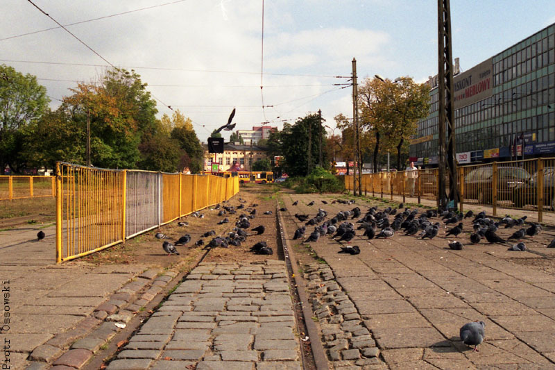 Gołębi plac Niepodległości