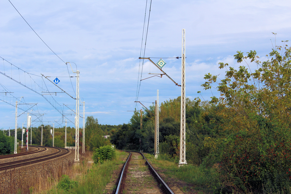 Elektryfikacja bocznicy kolejowej z Łasku do Zelowa