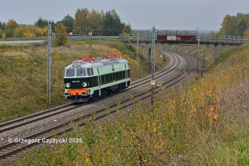 Cargo Service na zielono