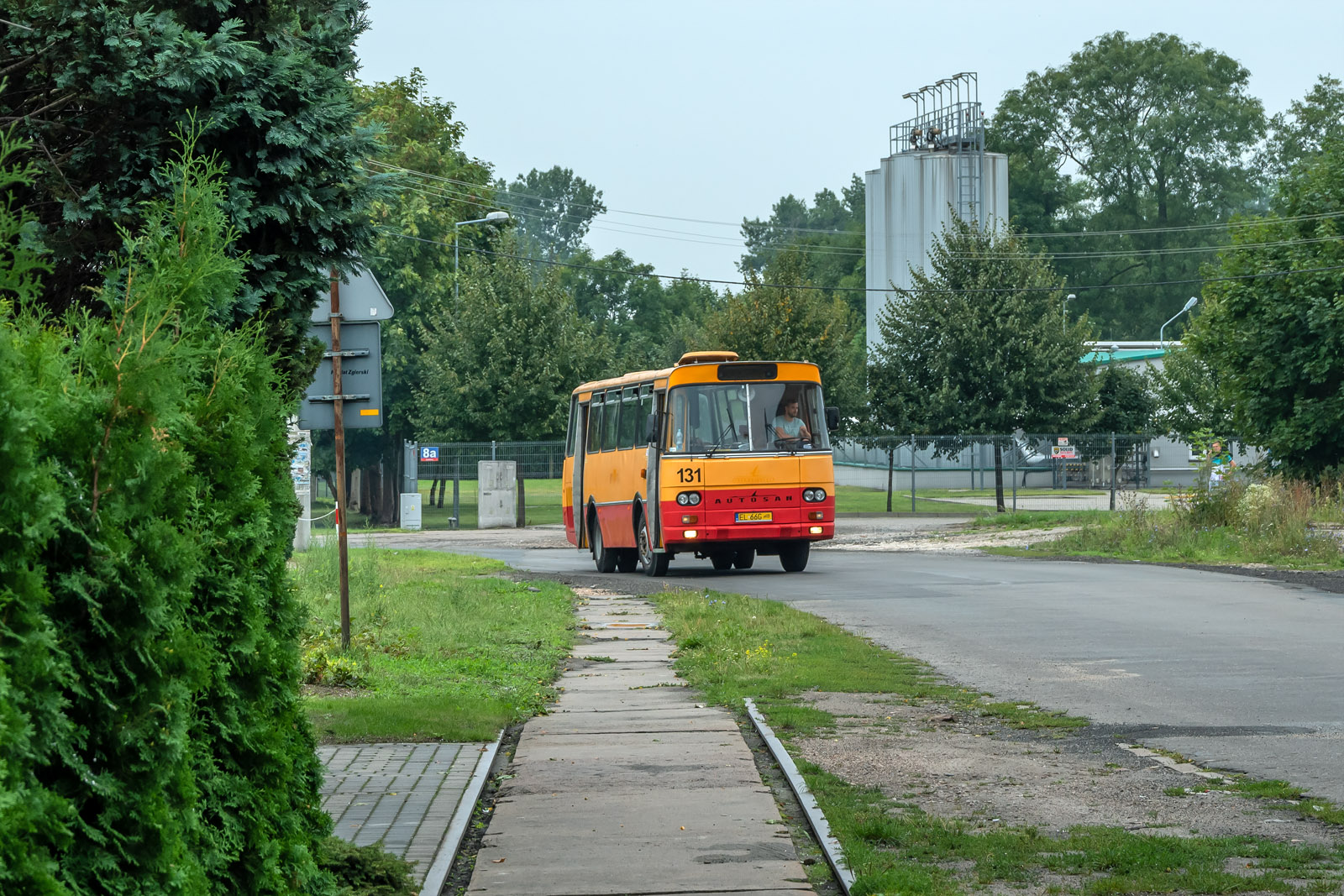 Psiuk w Leśmierzu