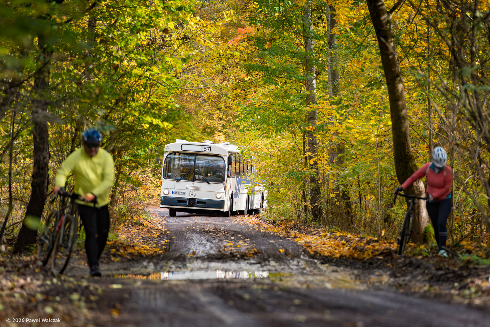 Mercedes-Benz O305G #3043