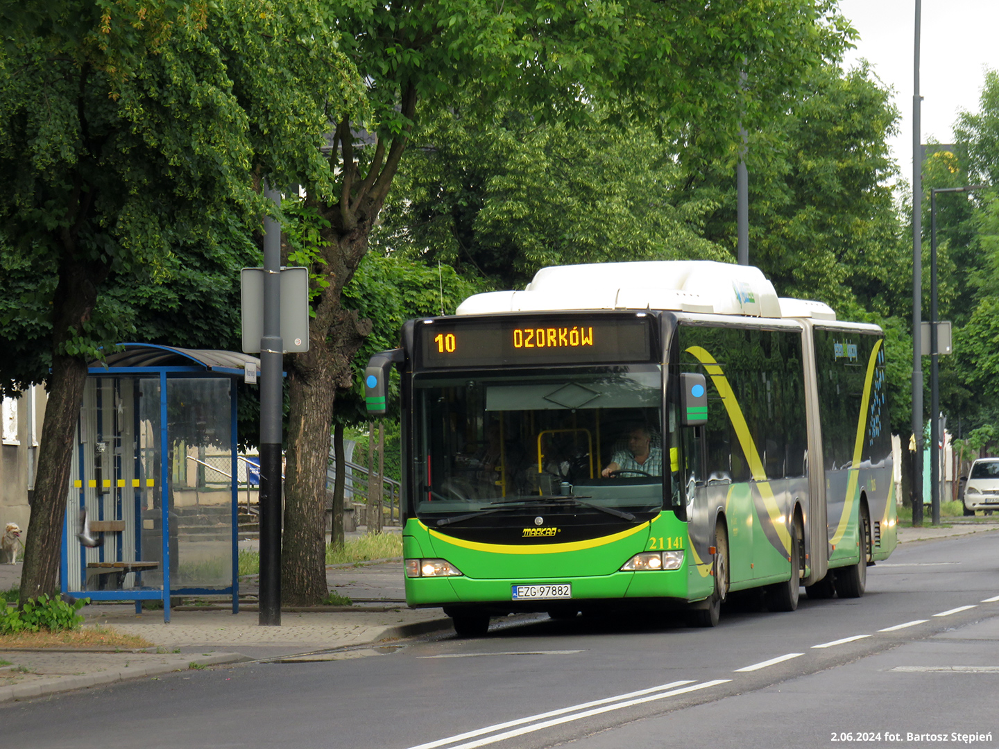 Linia 10 MUK w Ozorkowie (wcielenie dawnej linii tramwajowej)