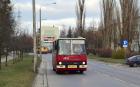 Czerwony autobus przez Dąbrowę mknie